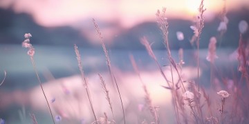 带不记恨究竟是什么歌？