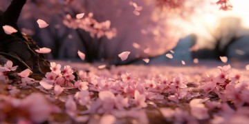 姓氏歌中什么杜该怎么填？