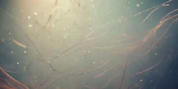 我想了解你离去是哪首歌呢？