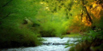 忘掉那一天出自哪首歌？