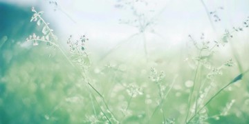 外边的风儿轻轻吹究竟是哪首歌？