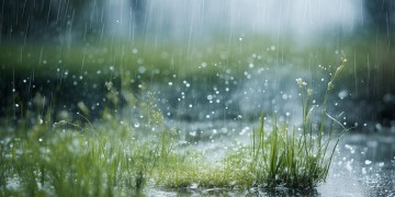 春天的雨夹着雪花究竟是哪首歌？
