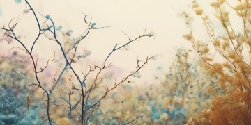 00后的披荆斩棘究竟是首什么歌？