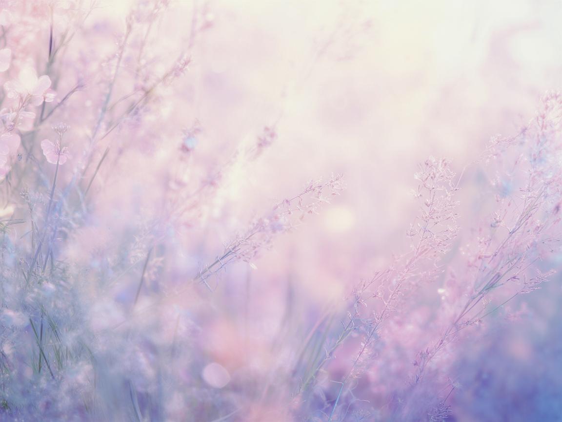 就这样淡淡的出自哪首歌? 就这样淡淡的出自哪首歌?